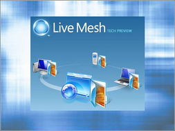 2009年微软必做十件大事 电子商务居首，信息系统集成服务位列前茅